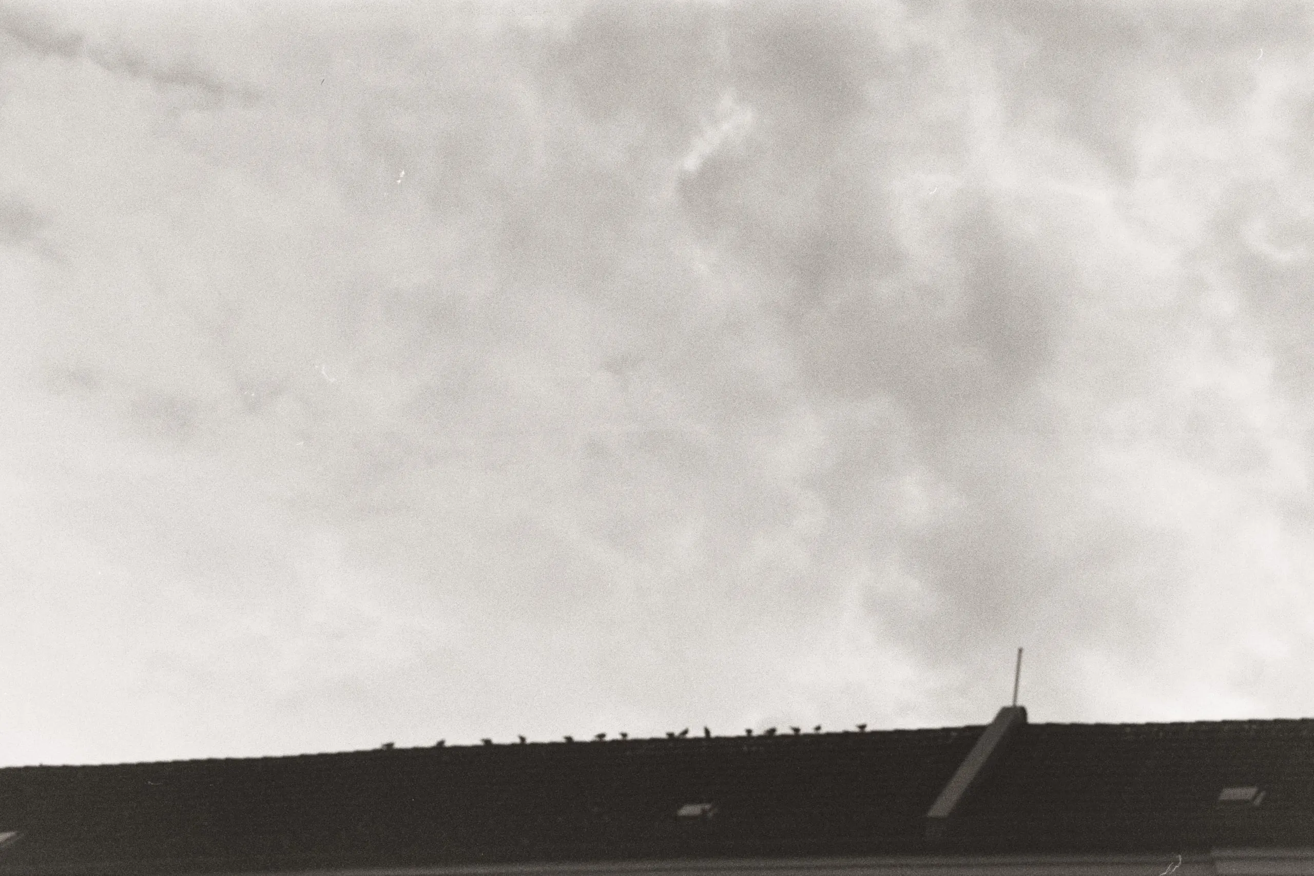 Berlin 2023 — frame 04